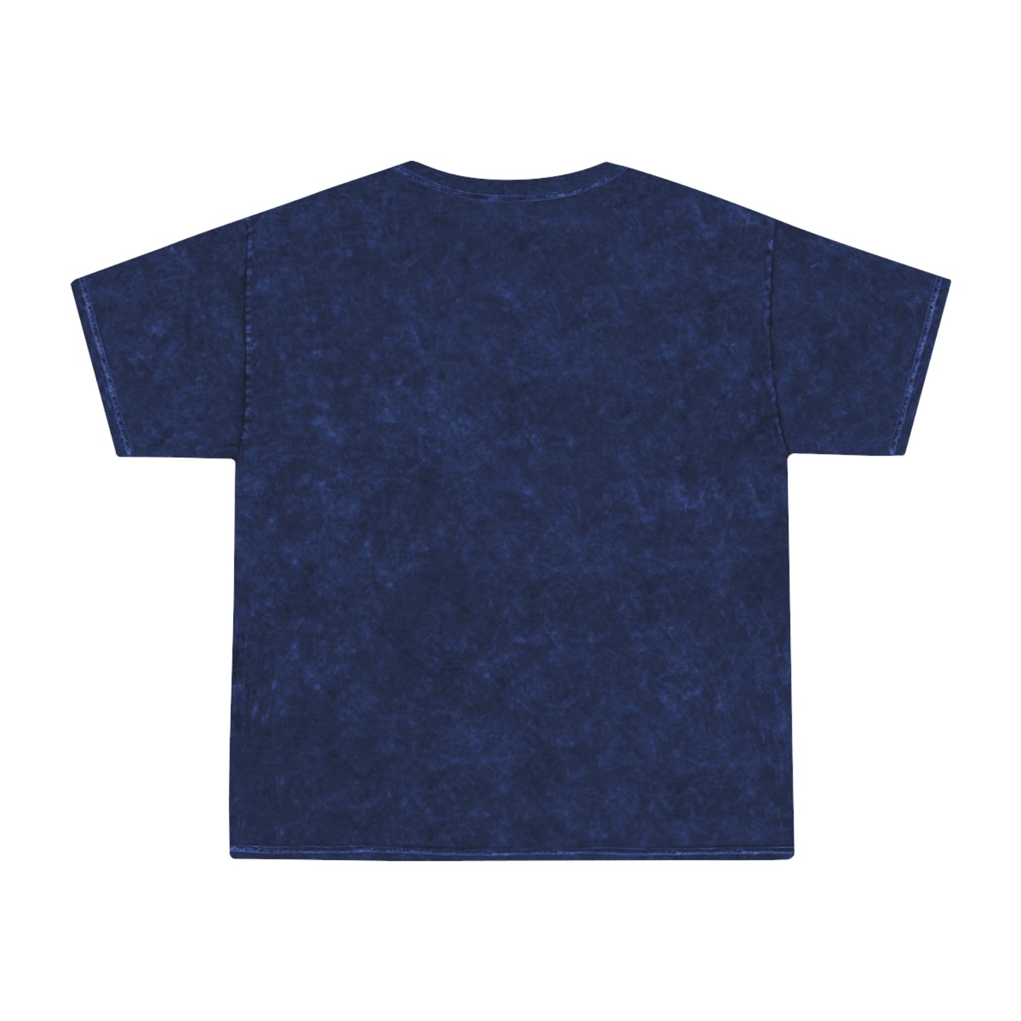 Adult Mineral Wash T-Shirt, South Tiger Classic (Multiple Colors Available)